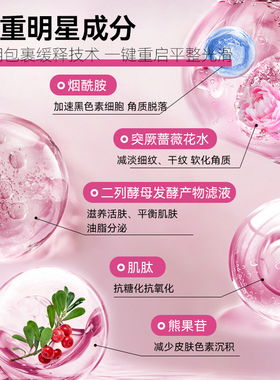玫瑰软膜粉保湿提亮去黄补水