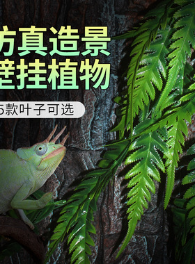 爬虫饲养箱造景雨林缸仿真植物