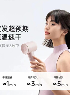 Laifen徕芬吹风机SE Lite家用入门款高速吹风机速干低噪音电吹风