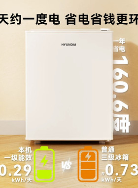 【一级能效】现代小冰箱48L家用小型冷藏租房宿舍节能省电冰箱