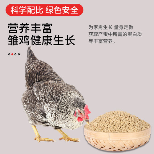 80斤雏鸡饲料510A中小鸡鸭鹅小颗粒开口料专用芦丁鸡食全价料批发 - 图2