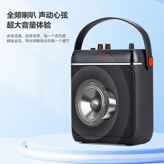 山水SS650广场舞音响户外大音量家用K唱歌便携式小型手提蓝牙音箱