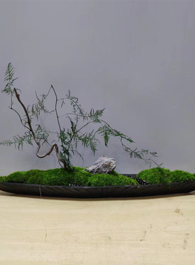 托盘玄关船型长托盘装饰摆盘摆件