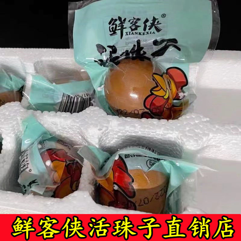 鲜客侠活珠子新鲜13天五香味40枚开袋即食无毛鸡蛋红壳熟制鸡胚 - 图0