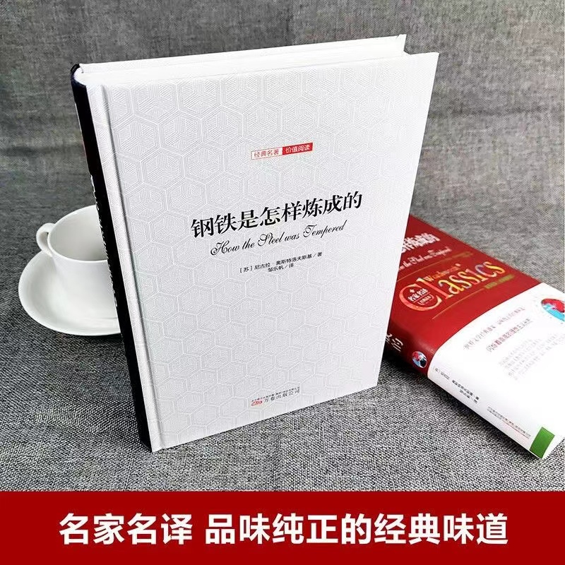 钢铁是怎样炼成的 精装正版中文全译本名家名译完整无删减尼古拉奥斯洛夫斯基原著初高中必读书目世界经典文学名著畅销书籍排行榜 - 图0