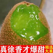 Xu Xiangqi Exotic Fruit Authentic Green Heart of Exotic Fruits Pregnant Women Fresh Fruits When Season Should Season With Boxes 5 Catties