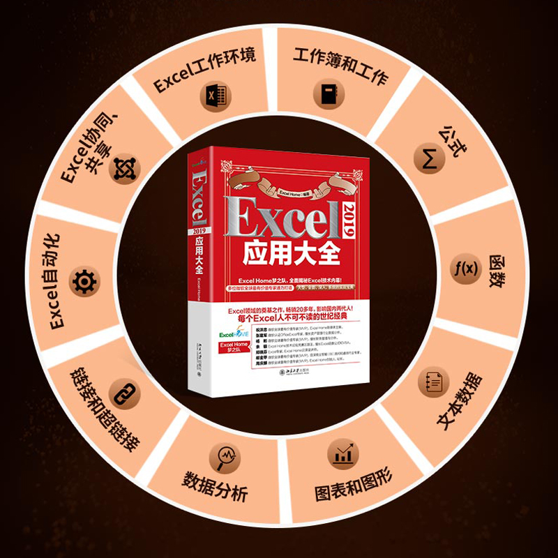 Excel2019应用大全 excel书籍excelhome出品计算机应用基础教程书籍办公软件 excel应用office教程书籍电脑 excel函数公式自学书籍-图0