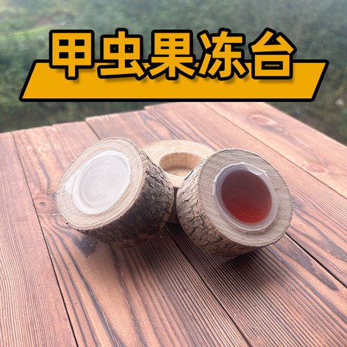 甲虫果冻独角仙锹甲兜虫长戟彩虹昆虫树皮果冻台成虫饲料攀爬木 - 图0