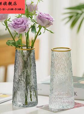 玻璃花瓶简约风水养鲜花绿植插花瓶餐桌客厅摆件