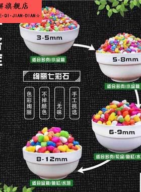高颜值小石头鱼缸石头花盆彩色石子七彩小石头五彩石造景小石子
