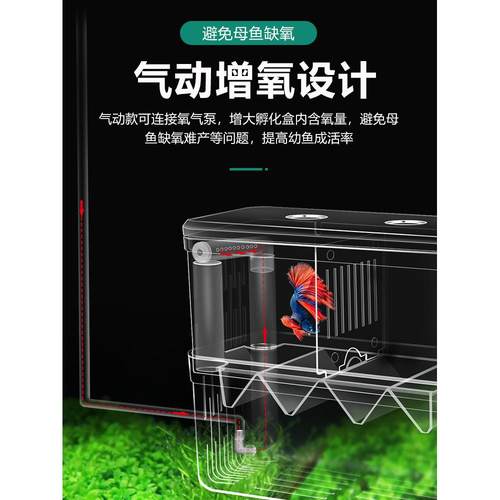 孔雀鱼小鱼繁殖隔离盒鱼缸孵化盒热带鱼小幼鱼大小号孵化器产卵房-图1