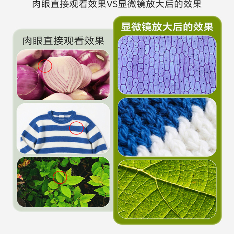 显微镜初中小学生专用科学实验玩具儿童手持小型便携放大可看细菌,淘宝优惠券,粉丝福利购,淘宝优惠卷