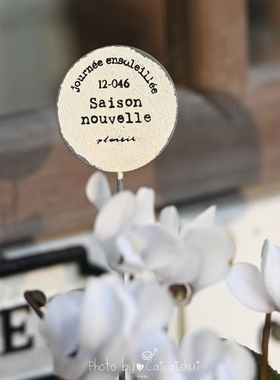 拯救普通的盆栽日系装饰花插铁艺