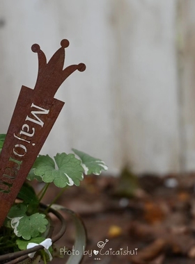 皇冠锈色花插盆栽花园装饰杂货铁