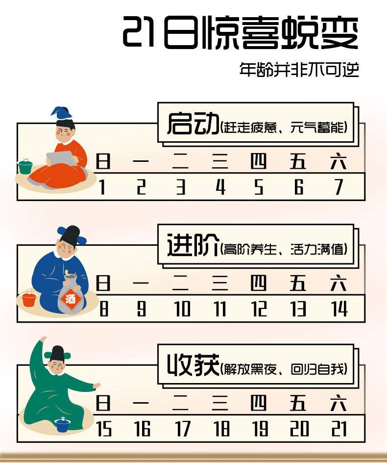 【21天装】汉方令黑方小斛露霍山人参 汉方令滋补养生饮