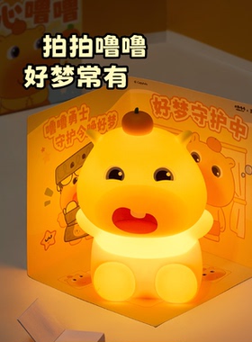 言仓水豚噜噜拍拍灯软萌床头小夜灯卧室摆件女生儿童毕业生日礼物