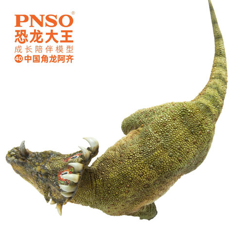 PNSO恐龙大王成长陪伴模型40中国角龙阿齐儿童动物 - 图3