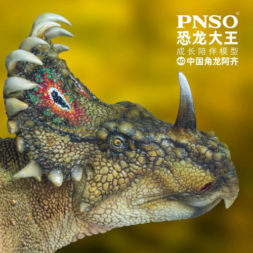 PNSO恐龙大王成长陪伴模型40中国角龙阿齐儿童动物 - 图1