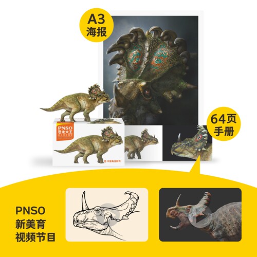 PNSO恐龙大王成长陪伴模型40中国角龙阿齐儿童动物 - 图2
