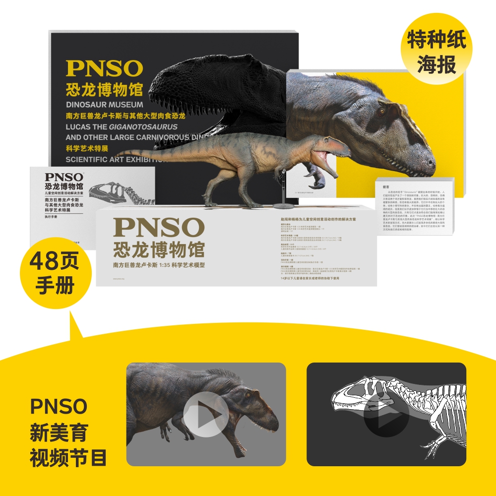 新版PNSO恐龙博物馆南方巨兽龙卢卡斯1：35科学艺术模型 - 图0