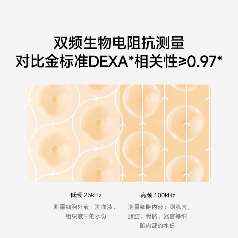 小米八电极体脂秤S800家用智能健康运动减脂精准电子称体重秤 - 图3