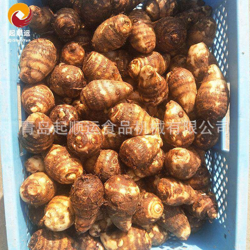 厂家销售芋头胡萝卜去皮机全自动土豆马铃薯刮皮机芋头去皮机,淘宝优惠券,粉丝福利购,淘宝优惠卷