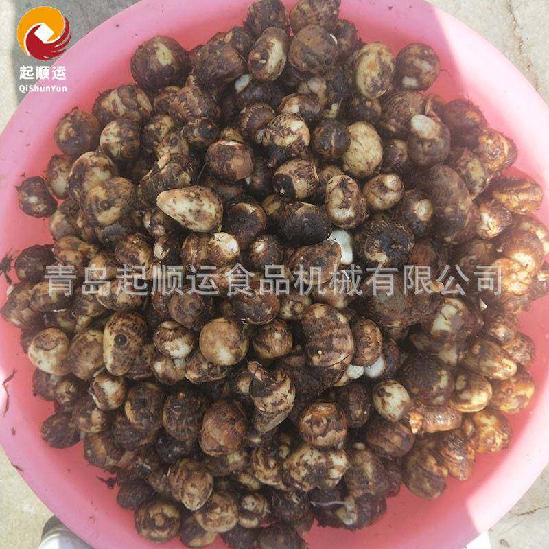 厂家销售芋头胡萝卜去皮机全自动土豆马铃薯刮皮机芋头去皮机,淘宝优惠券,粉丝福利购,淘宝优惠卷