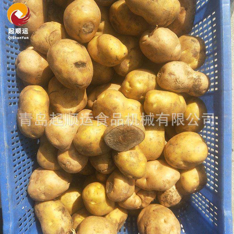 厂家销售芋头胡萝卜去皮机全自动土豆马铃薯刮皮机芋头去皮机,淘宝优惠券,粉丝福利购,淘宝优惠卷