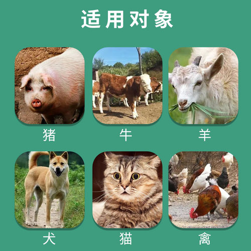 盐酸左旋咪唑片驱虫药兽用犬猫咪狗子牛羊专用小鸡吃的打虫药体内 - 图2