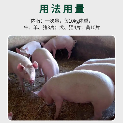 盐酸左旋咪唑片驱虫药兽用犬猫咪狗子牛羊专用小鸡吃的打虫药体内 - 图1