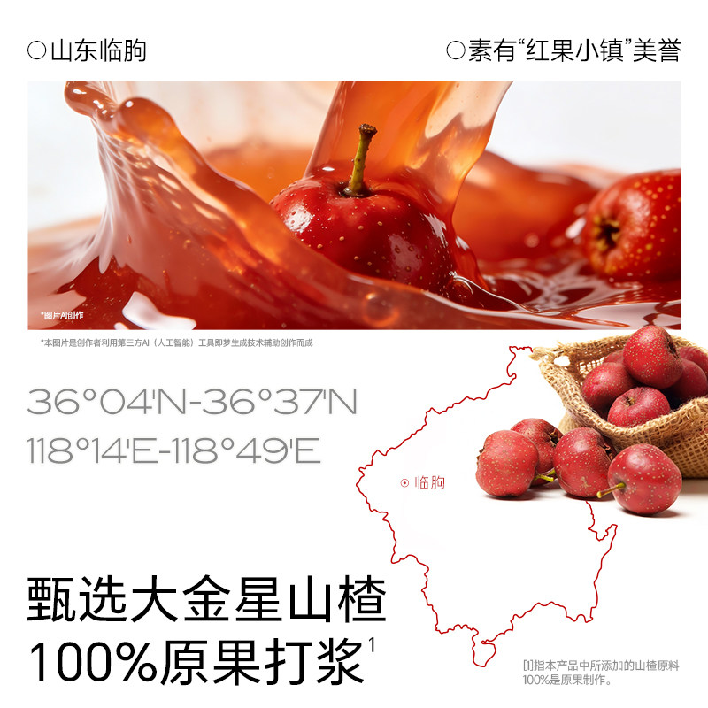 不二宝贝山楂棒棒糖小葫芦水果条搭婴儿幼儿童无添加无糖宝宝零食