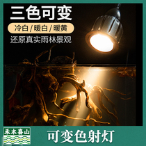 Fish tank spotlight South American building special light Three lakes to watch native cylinder Spotlight Fish Tank Lamp South American Jar Spotlight