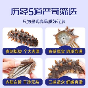 福口居大连辽刺参即食12-16头1斤滋补送礼