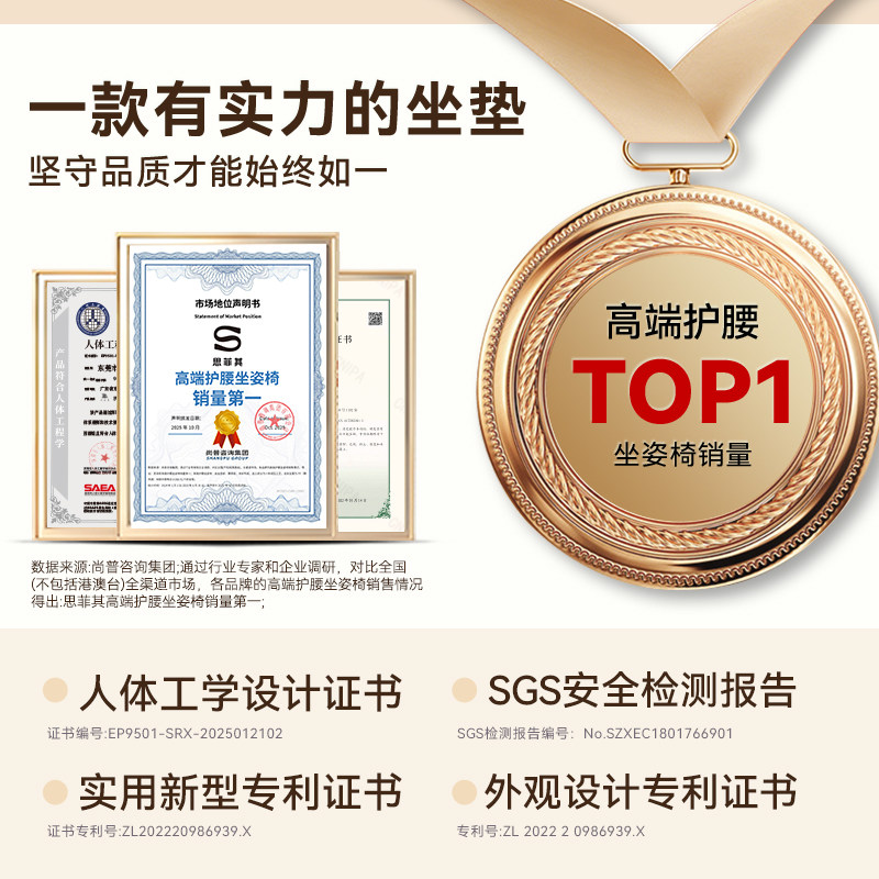 思菲其护腰坐垫办公室久坐护腰神器人体工学腰部支撑靠垫靠背一体