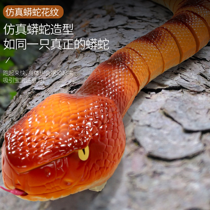 儿童仿真眼镜蛇昆虫网红遥控玩具 奇森玩具创意/整蛊玩具