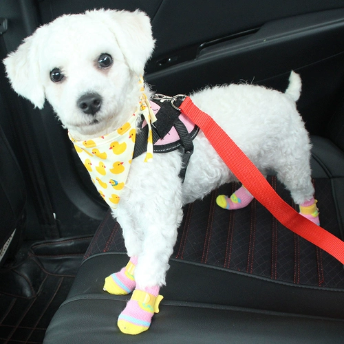 Носки, обувь, дорожные гетры