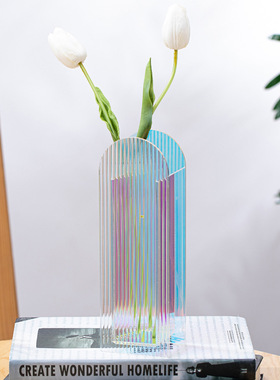 彩色亚克力花瓶干花水培花器ins
