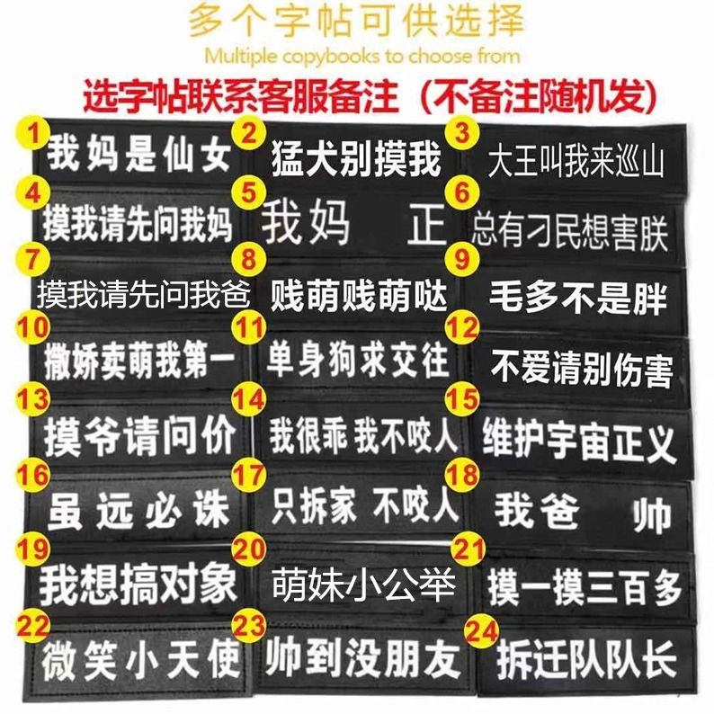 狗狗牵引绳遛狗绳项圈中大型犬金毛拉布拉多泰迪狗链子胸背带结实 - 图1