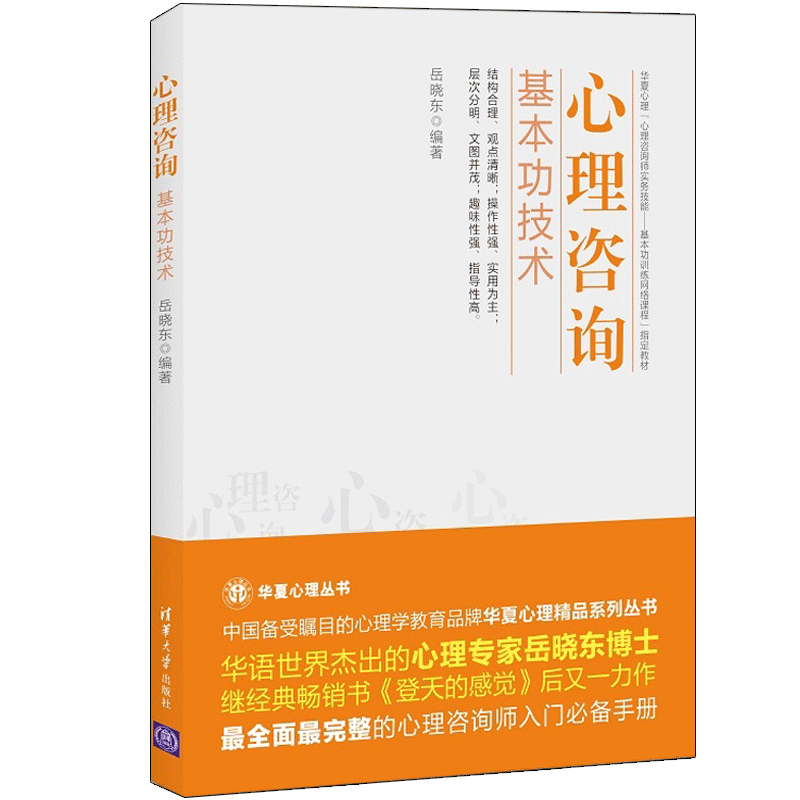 正版心理咨询基本功技术 岳晓东 清华大学出版社 心理咨询与治疗的话语研究入门书籍 - 图0