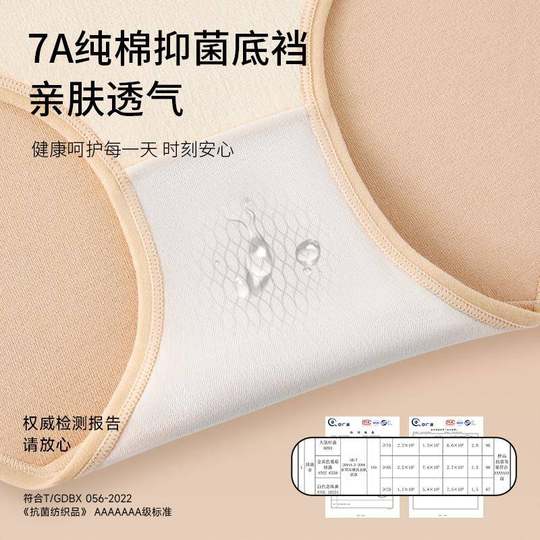 Ropa interior térmica de mujer, calentador abdominal, protector de cintura y forro polar.