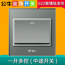 Bull switch open multi-control single open midway 1 open dark fit Home wall tempered glass panel G22 grey