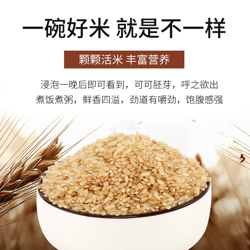 约上味有机糙米400g 东北糙米饭五谷杂粮农家粗粮胚芽主食 - 图1