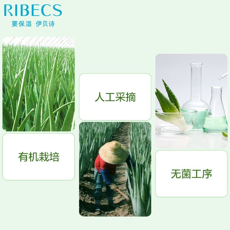 伊贝诗【芦荟胶80g】补水晒后修护 伊贝诗化妆品乳液/面霜