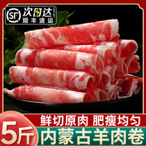 Mutton Rolls Mutton Fat Goat Rolls Mutton Pieces Fresh Inner Mongolia Lamb Authentic Hot Pot Ingredients Commercial Wholesale