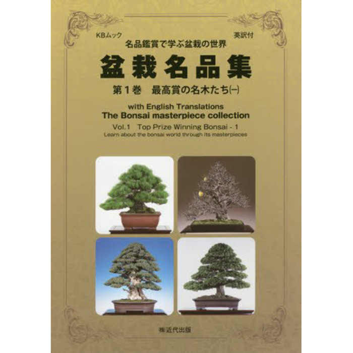 市場 盆栽 大 盆栽万力 喜久和 道具
