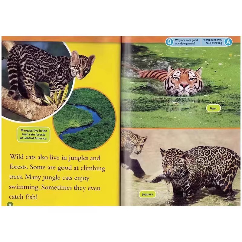 亲子共读系列一阶段15册 英文原版绘本 National Geographic Kids Level 1 Co-reader 美国国家地理分级阅读读物儿童全彩百科全书