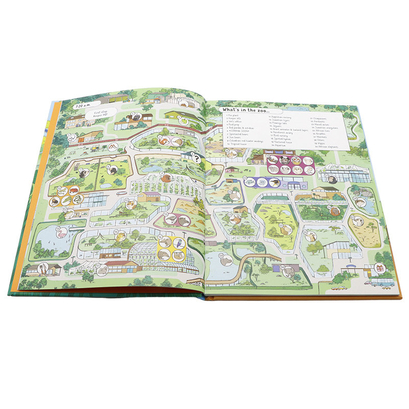 Usborne动物园的24小时英文原版 24 Hours in the Jungle 精装全彩科普绘本图画书跨学科课外阅读故事书Lan Cook7到12岁