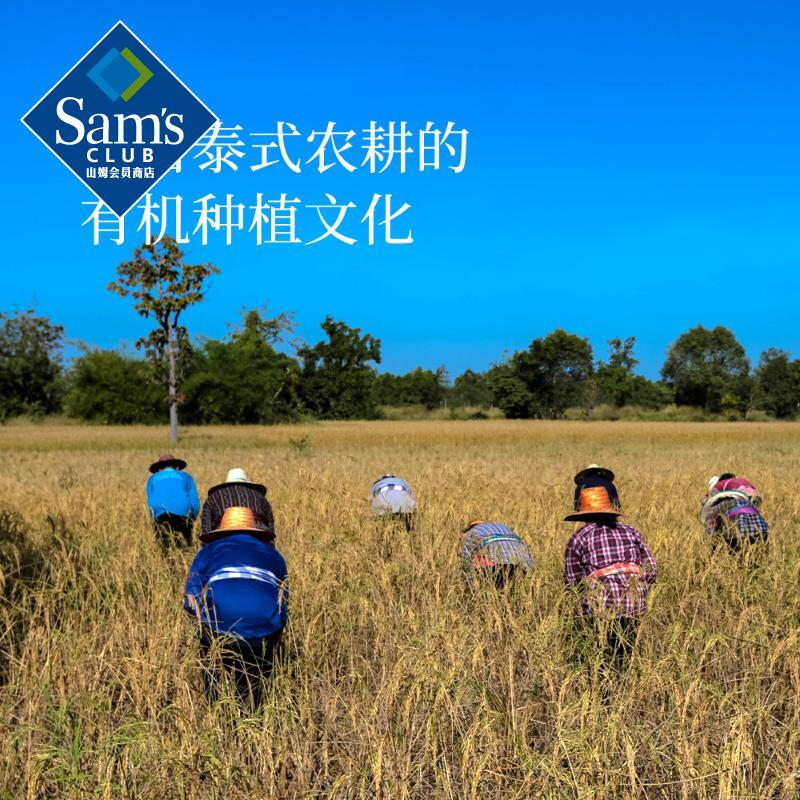 山姆皇家孟乍隆有机泰国茉莉香米当季新粮大米正品会员超市代购