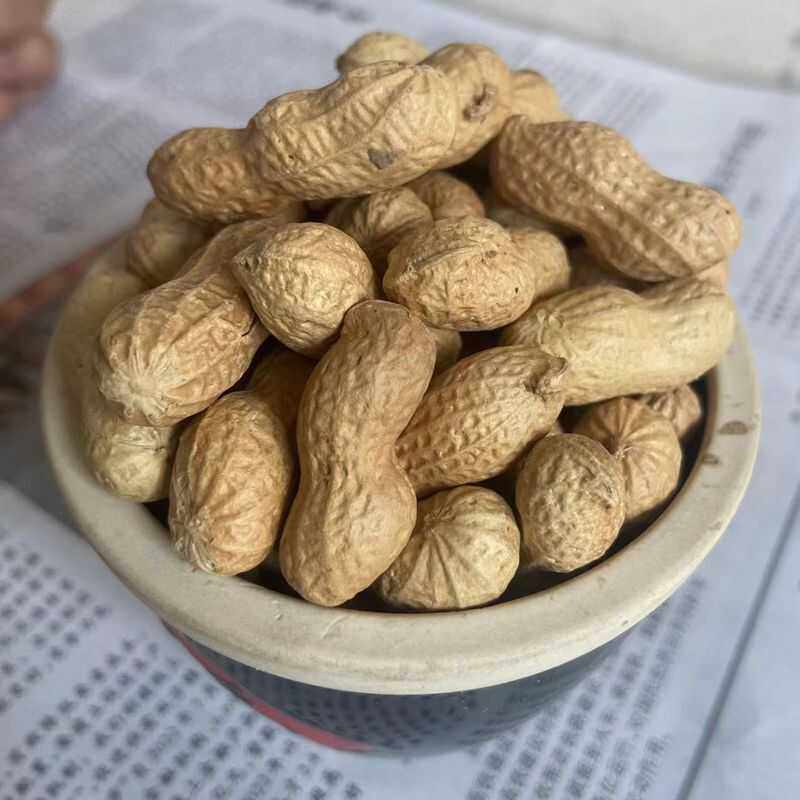 2024年农家自种柴火手工铁锅干炒熟酥脆花生现炒带壳散装小颗粒,淘宝优惠券,粉丝福利购,淘宝优惠卷