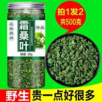 Frost-Fall Autumn Mulberry Leaf Tea Official Flagship Store Special Class Creamy-Frozen Leaf Tea